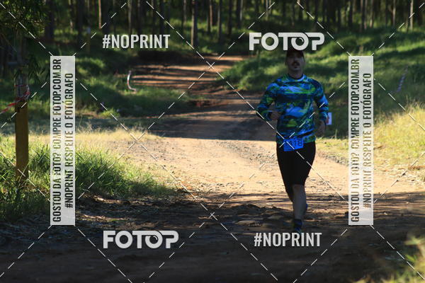 Buy your photos of the eventWolf Series - Botucatu on Fotop