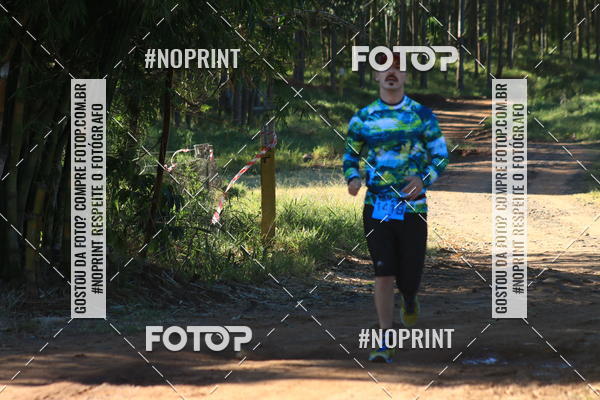 Buy your photos of the eventWolf Series - Botucatu on Fotop