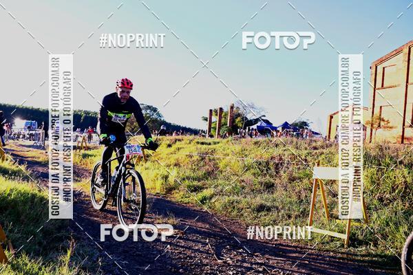 Buy your photos of the eventWolf Series - Botucatu on Fotop