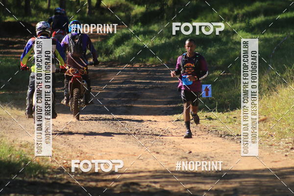 Buy your photos of the eventWolf Series - Botucatu on Fotop