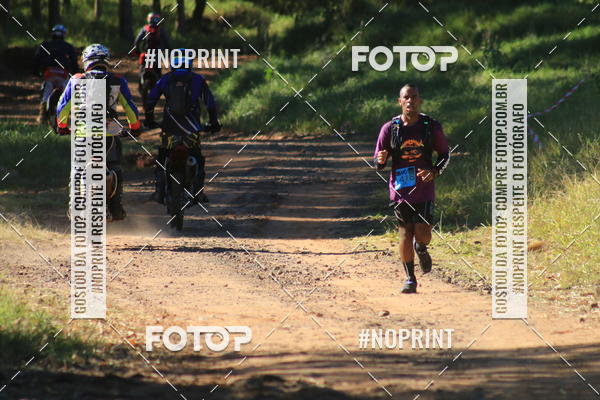 Buy your photos of the eventWolf Series - Botucatu on Fotop