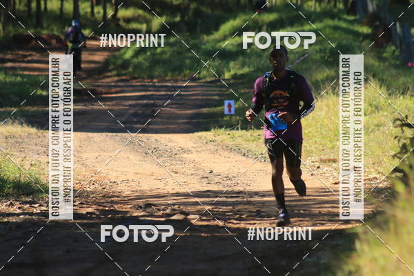 Buy your photos of the eventWolf Series - Botucatu on Fotop