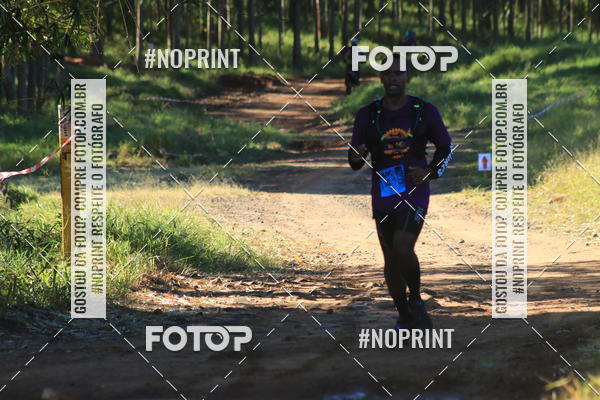 Buy your photos of the eventWolf Series - Botucatu on Fotop