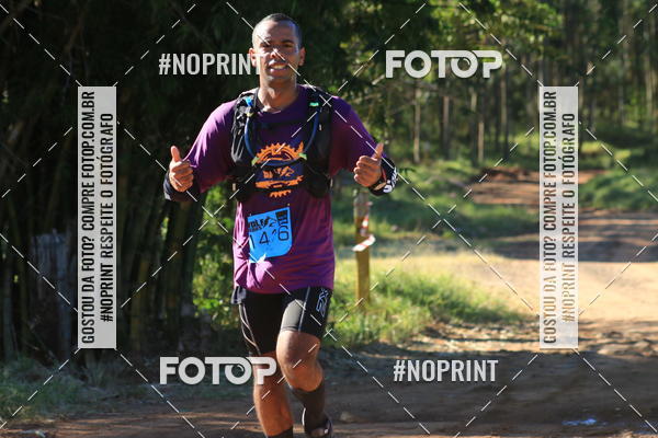 Buy your photos of the eventWolf Series - Botucatu on Fotop