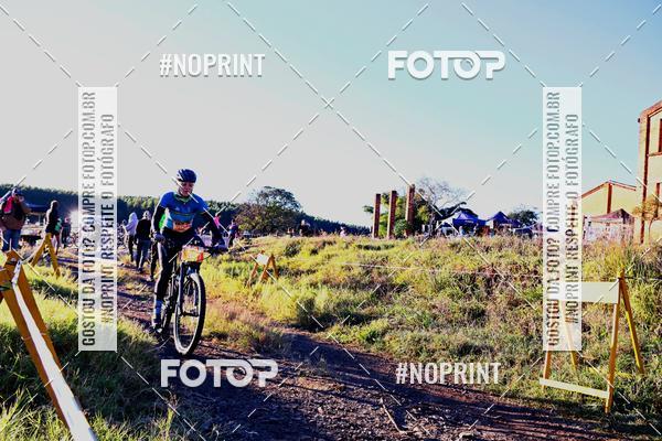 Buy your photos of the eventWolf Series - Botucatu on Fotop