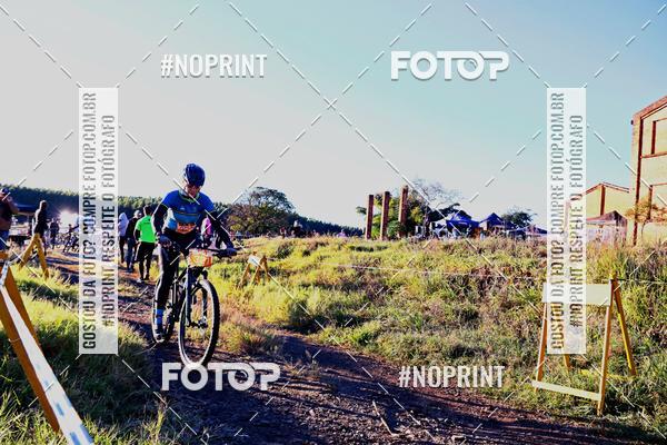 Buy your photos of the eventWolf Series - Botucatu on Fotop