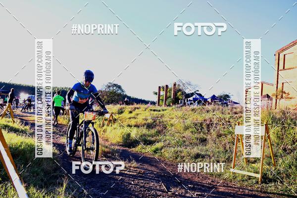 Buy your photos of the eventWolf Series - Botucatu on Fotop