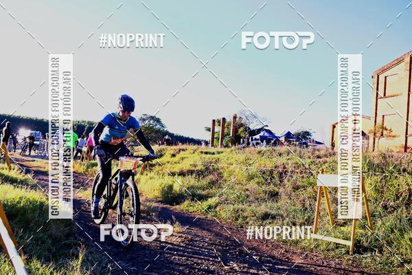 Buy your photos of the eventWolf Series - Botucatu on Fotop