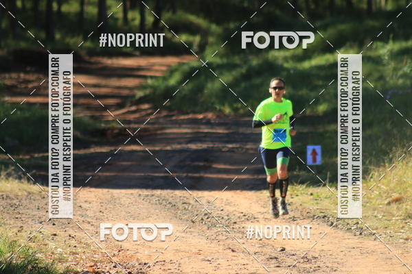 Buy your photos of the eventWolf Series - Botucatu on Fotop