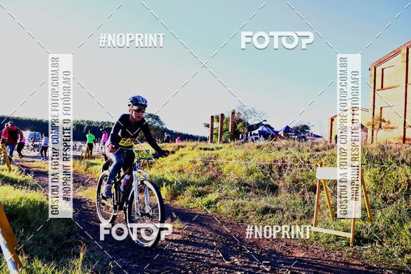 Buy your photos of the eventWolf Series - Botucatu on Fotop