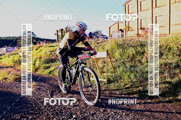 Buy your photos of the eventWolf Series - Botucatu on Fotop