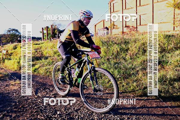 Buy your photos of the eventWolf Series - Botucatu on Fotop