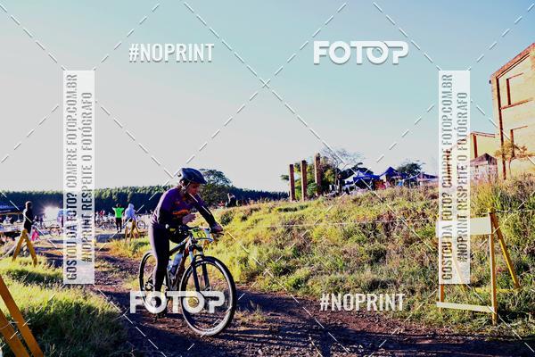 Buy your photos of the eventWolf Series - Botucatu on Fotop