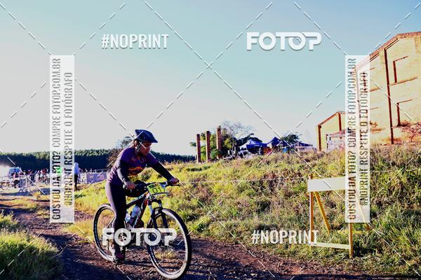 Buy your photos of the eventWolf Series - Botucatu on Fotop