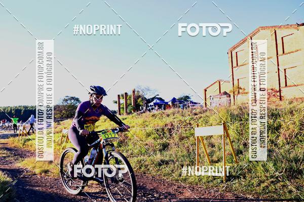 Buy your photos of the eventWolf Series - Botucatu on Fotop