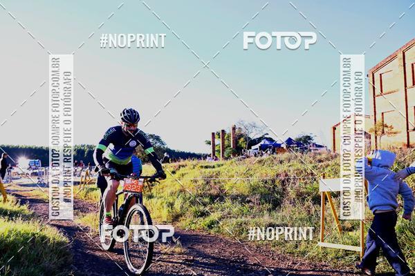 Buy your photos of the eventWolf Series - Botucatu on Fotop