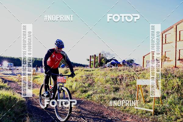 Buy your photos of the eventWolf Series - Botucatu on Fotop