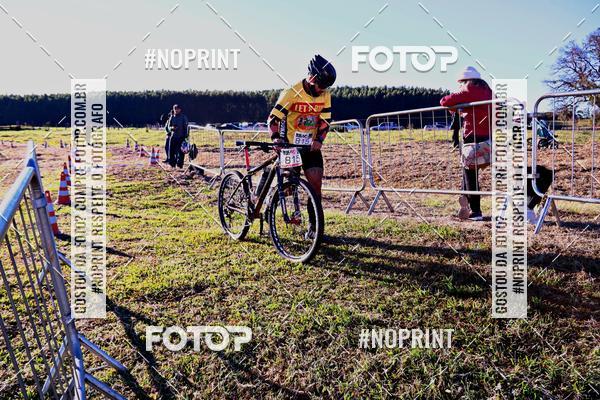 Buy your photos of the eventWolf Series - Botucatu on Fotop