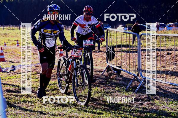 Buy your photos of the eventWolf Series - Botucatu on Fotop