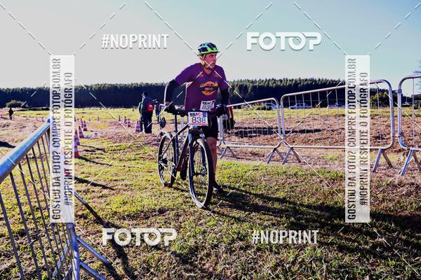 Buy your photos of the eventWolf Series - Botucatu on Fotop