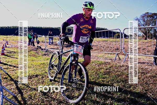 Buy your photos of the eventWolf Series - Botucatu on Fotop