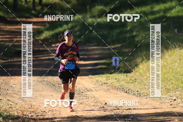 Achetez vos photos de l'vnementWolf Series - Botucatu sur Fotop