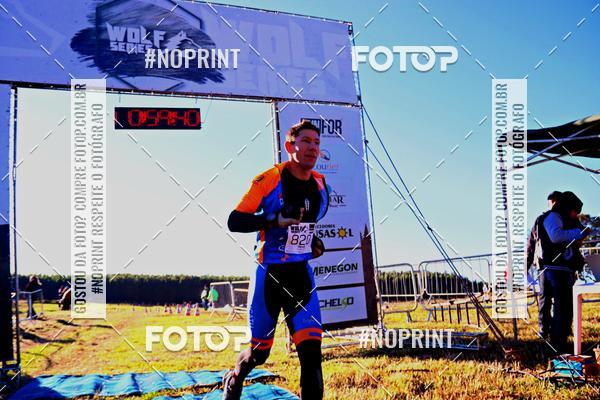 Buy your photos of the eventWolf Series - Botucatu on Fotop