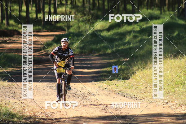 Achetez vos photos de l'vnementWolf Series - Botucatu sur Fotop