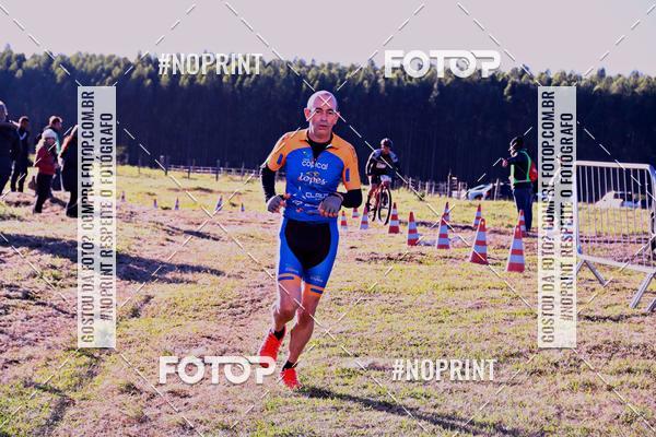 Buy your photos of the eventWolf Series - Botucatu on Fotop