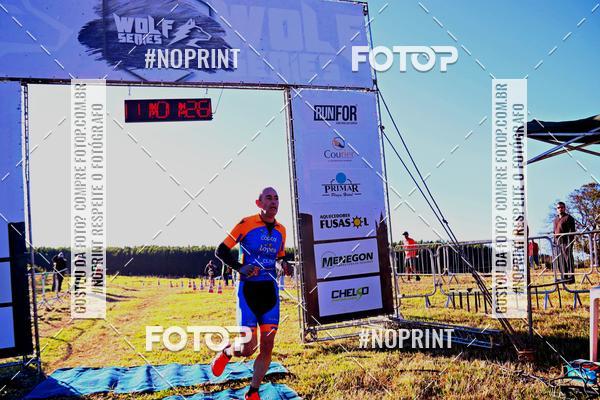 Buy your photos of the eventWolf Series - Botucatu on Fotop