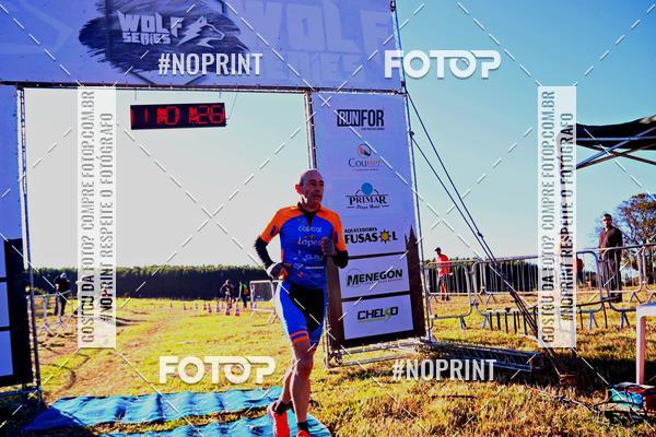 Buy your photos of the eventWolf Series - Botucatu on Fotop