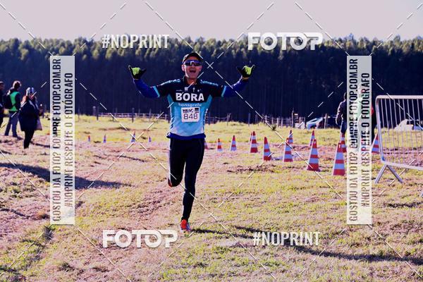 Buy your photos of the eventWolf Series - Botucatu on Fotop