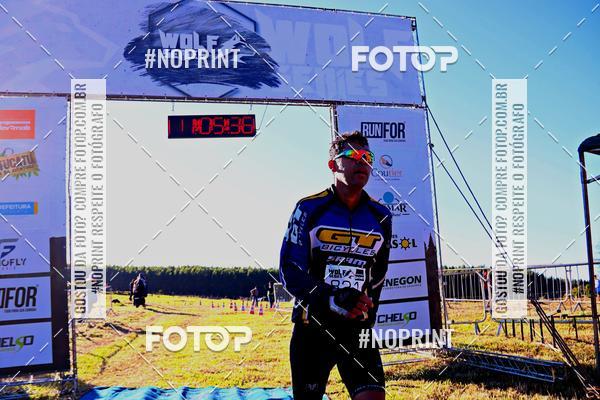 Buy your photos of the eventWolf Series - Botucatu on Fotop