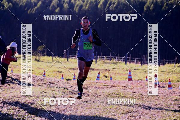 Buy your photos of the eventWolf Series - Botucatu on Fotop