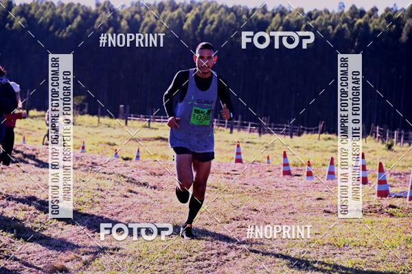 Buy your photos of the eventWolf Series - Botucatu on Fotop