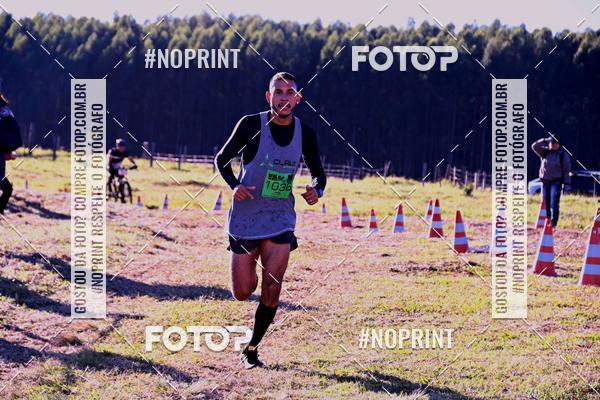 Buy your photos of the eventWolf Series - Botucatu on Fotop