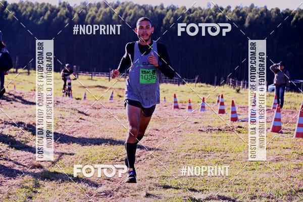 Buy your photos of the eventWolf Series - Botucatu on Fotop