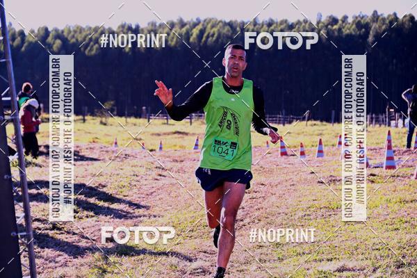 Buy your photos of the eventWolf Series - Botucatu on Fotop