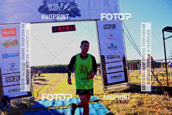 Buy your photos of the eventWolf Series - Botucatu on Fotop