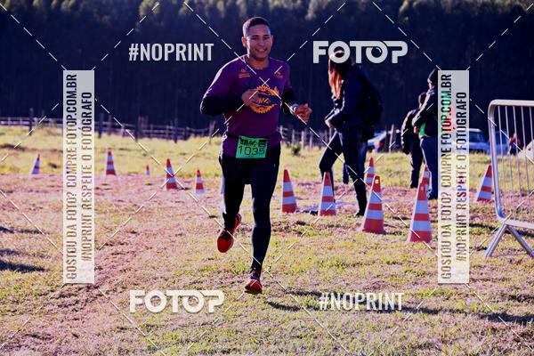 Buy your photos of the eventWolf Series - Botucatu on Fotop