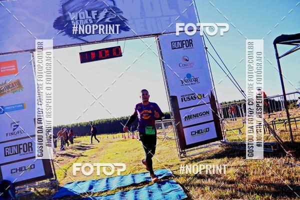 Buy your photos of the eventWolf Series - Botucatu on Fotop