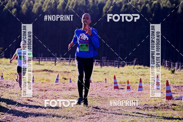 Buy your photos of the eventWolf Series - Botucatu on Fotop