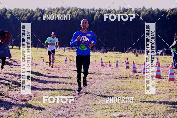 Buy your photos of the eventWolf Series - Botucatu on Fotop