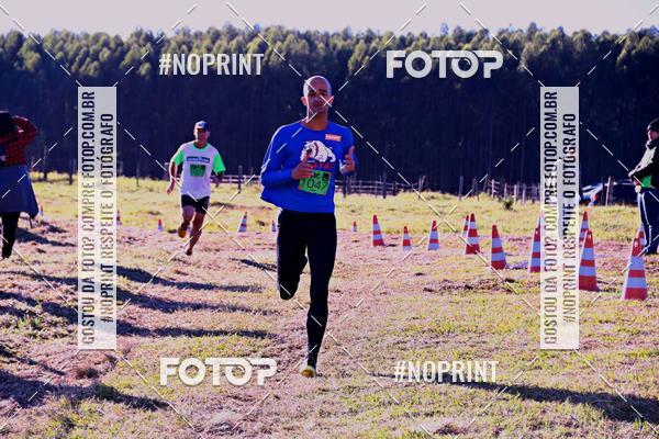 Buy your photos of the eventWolf Series - Botucatu on Fotop