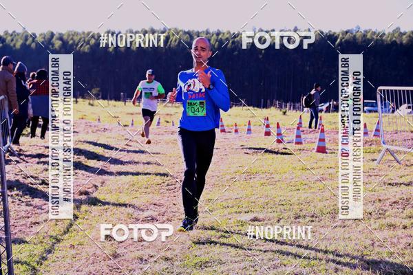 Buy your photos of the eventWolf Series - Botucatu on Fotop