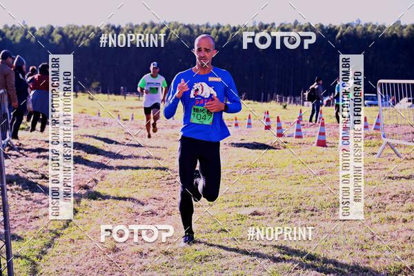 Buy your photos of the eventWolf Series - Botucatu on Fotop