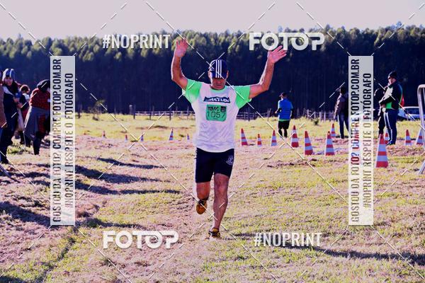 Buy your photos of the eventWolf Series - Botucatu on Fotop