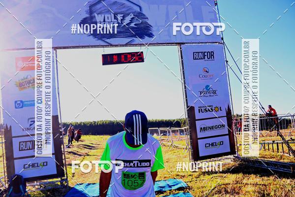 Buy your photos of the eventWolf Series - Botucatu on Fotop