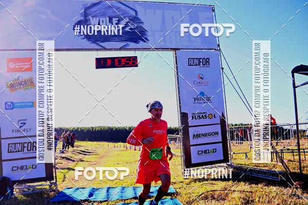 Buy your photos of the eventWolf Series - Botucatu on Fotop