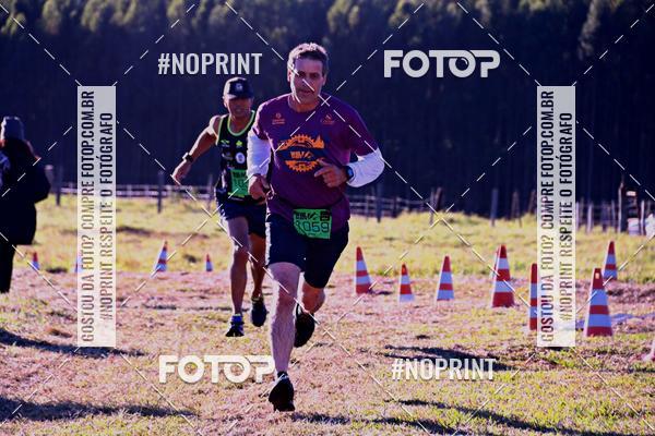 Buy your photos of the eventWolf Series - Botucatu on Fotop